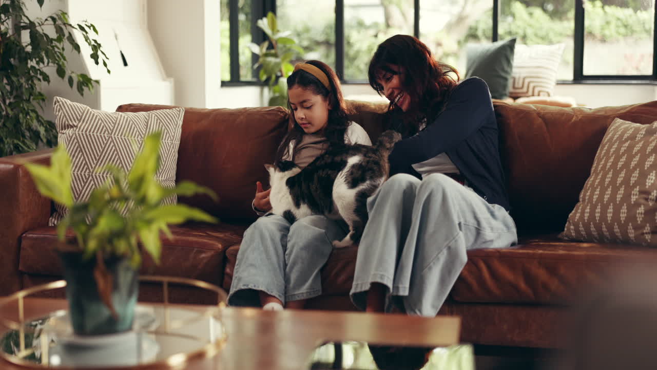 A woman and a girl petting a cat on a couch