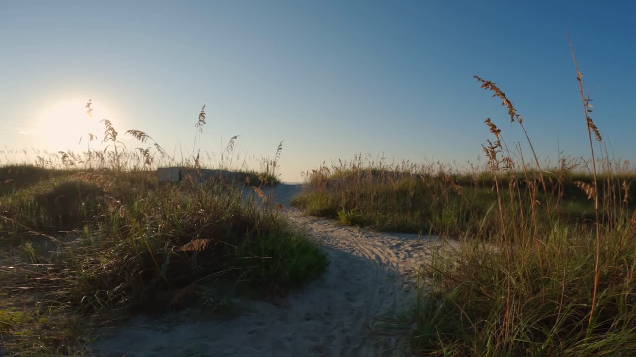 미국 사우스캐롤라이나 힐튼 헤드 섬의 아름답고 화창한 여름날
