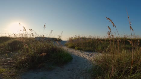 Un-Hermoso-Y-Soleado-Día-De-Verano-En-Hilton-Head-Island-En-Carolina-Del-Sur,-Estados-Unidos