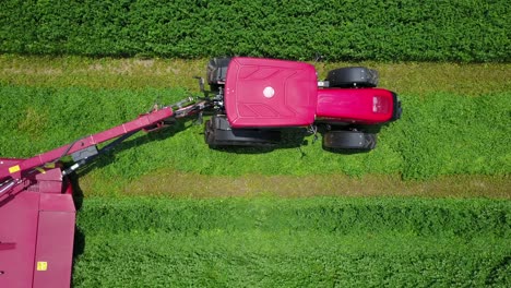 Red-Tractor-Cutting-Grass-Field-From-Left-To-Right,-Directly-Above-Aerial-Shot