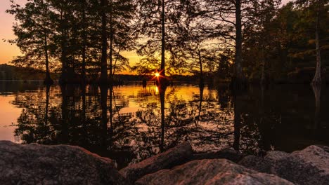 Time-lapse-of-sunset-through-trees,-branches-reflecting-of-a-small-lake