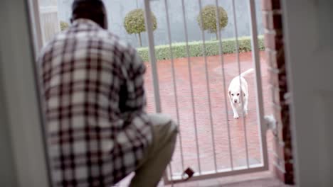 african american man standing in door greeting his pet dog at home, slow motion