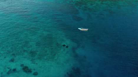 Ein-Paar-Mantas,-Die-An-Einem-Boot-Vorbeischwimmen---Luftaufnahme