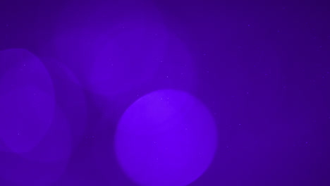 animation of purple spots of light and flashing and moving on seamless loop