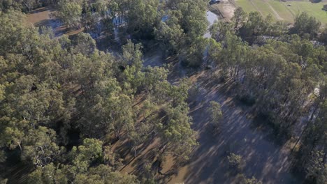 top down of flooded goulburn river in victoria