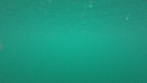 Snow-Flakes-are-falling-on-Lake-with-Turquoise-Water