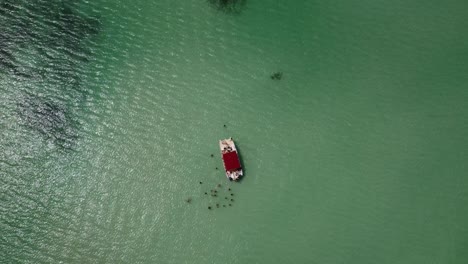 high drone shot over tourist boat in the sea where people are standing in the green sea enjoying the water this small waves