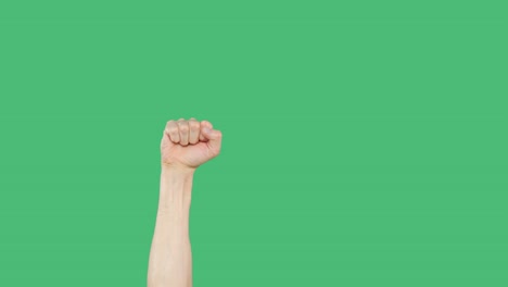 la palma de la mano humana cerró el puño sobre un fondo verde chromakey. levantó el puño de la mano cerrada en un fondo verde. fondo de la pantalla clave de croma.