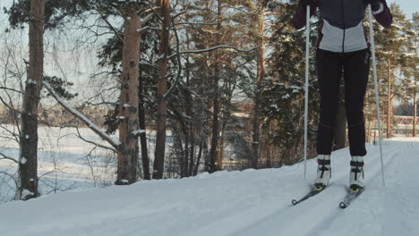 cross-country skiing in a snowy forest