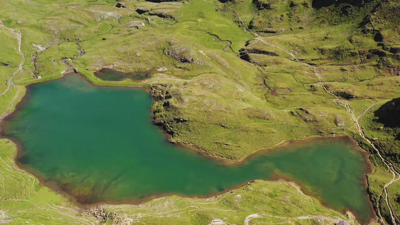 vista aérea: forma interesante de un lago de montaña azul turquesa alpina junto al bachalpsee entre prados verdes formados por el derretimiento de la nieve en los senderos de montaña de los alpes suizos de grindelwald en los meses de verano