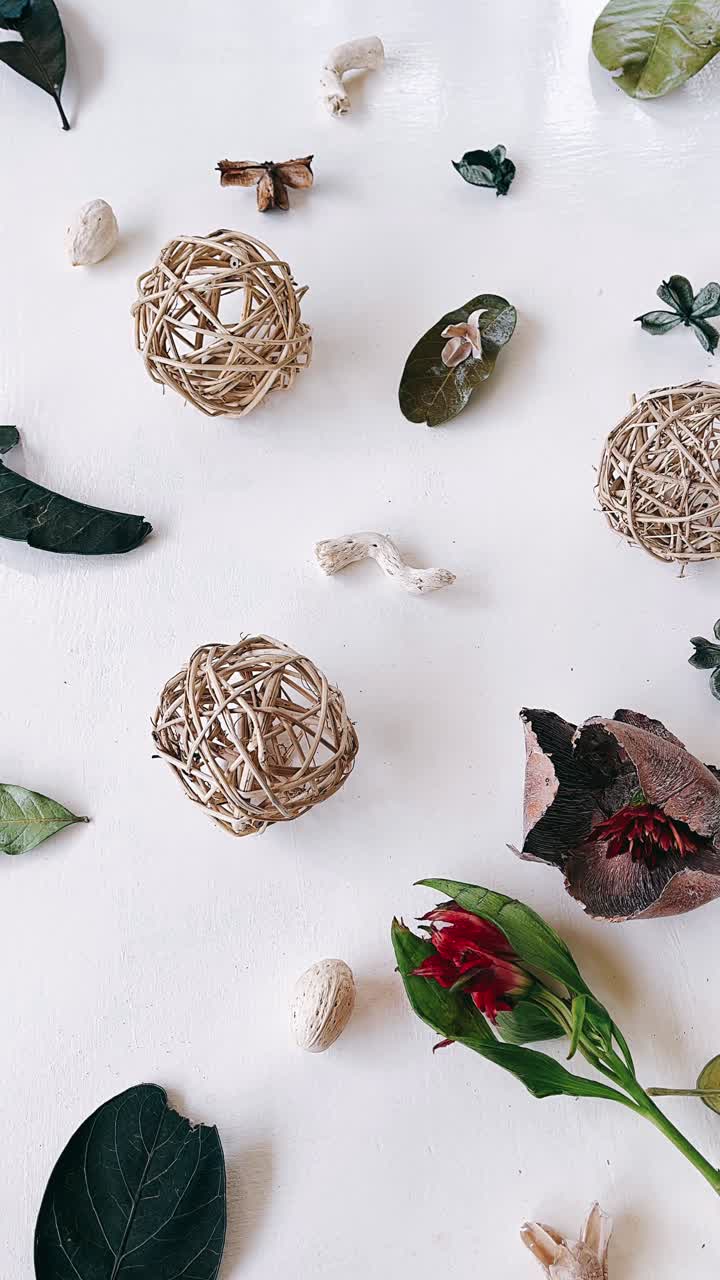 자연적인 장식적인 배열