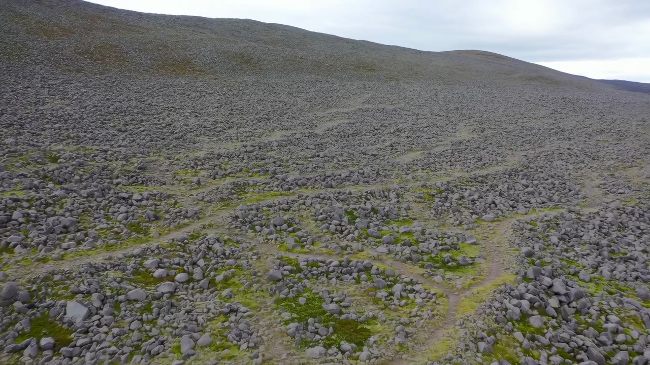 Vista aerea di tundra sassosa con massi sparsi, chiazze di muschio e sentiero tortuoso sotto cielo coperto, ripresa da drone.