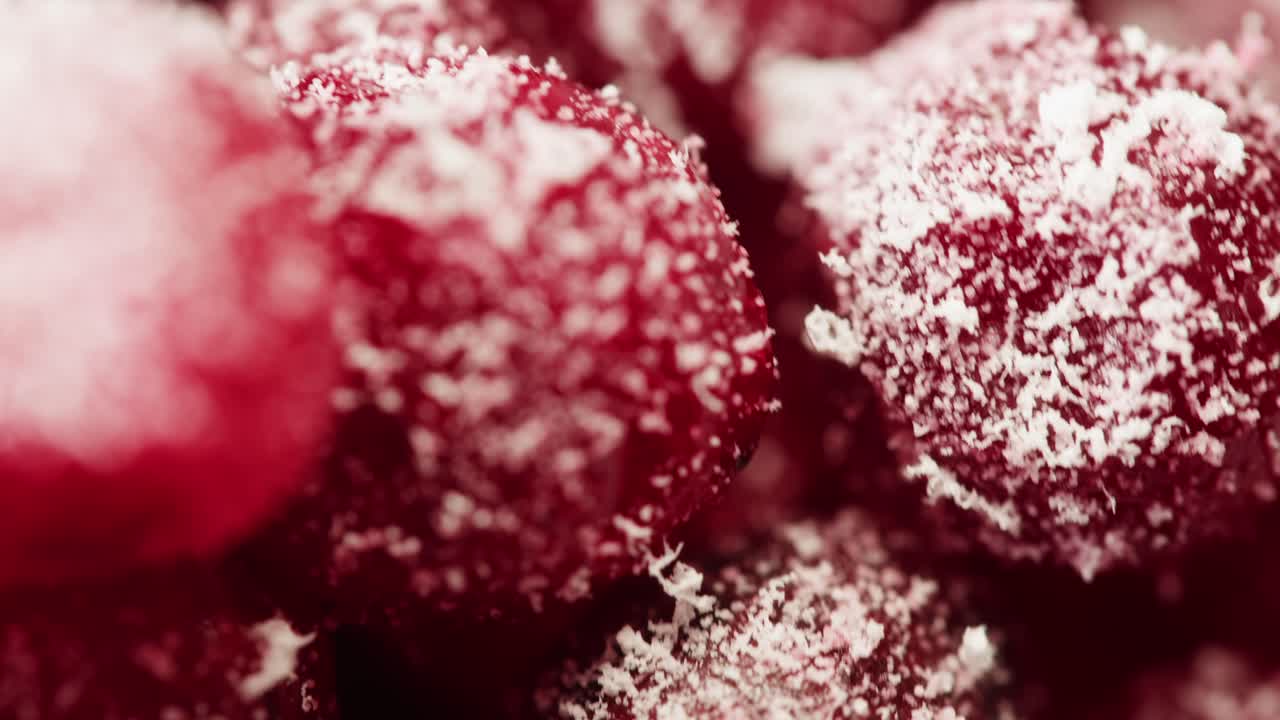 차를 위해 눈에 얼어붙은 크랜베리, 겨울 공원에서 크랜베리의 배경 클로즈업, 얼음 냉장고 매크로