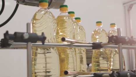 sunflower oil in the bottle moving on production line. bottling line of sunflower oil in bottles. vegetable oil production plant. high technology. industrial background