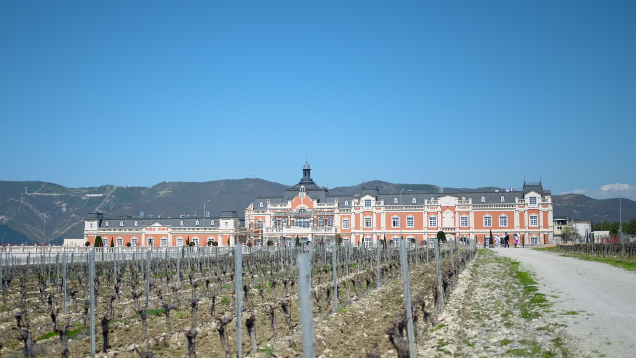 조지아의 와인 에스테이트