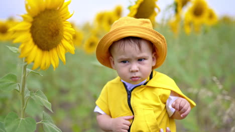 adorable baby boy in yellow outfit and hat stands amidst yellow sunflowers. lovely child in the field of seed flowers. blurred backdrop.