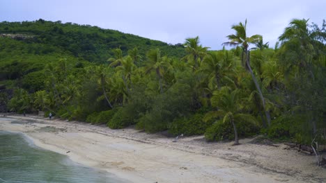 Fiji-Beach---Beautiful-Scenery-With-Lush-Green-Forest-And-Mountain-At-The-Beachfront-In-Fiji---aerial-static-shot