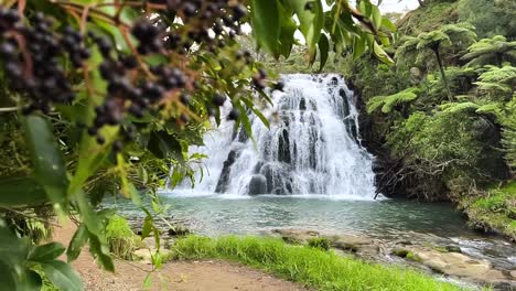 A-cascading-waterfall-in-the-jungle-is-revealed-behind-a-sprig-of-berries-on-a-tree