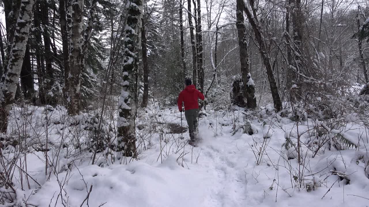 hombre caminando con raquetas de nieve a través de un bosque