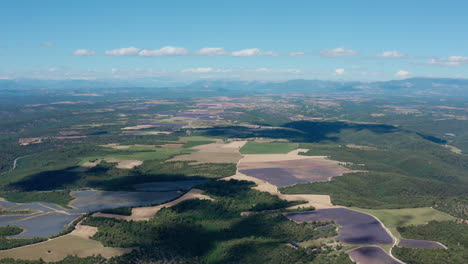 Cloud-shadow-on-lavender-fields-and-forest-in-Provence-France-aerial