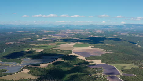 sombra de nubes en campos de lavanda y bosque en provenza francia aérea
