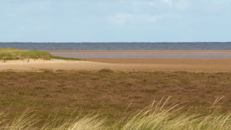 una amplia toma de dunas de arena con hierba de marram en primer plano, que conduce a la playa en los planos de barro de saltfleet, louth, lincolnshire