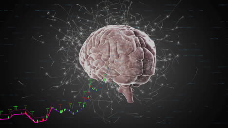 animación de puntos de luz y senderos sobre el cerebro