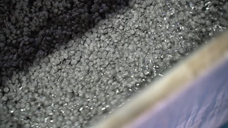 close up shot of grey recycled plastic pellets in water on a conveyor in a recycling plant