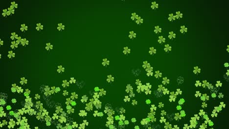 animation of green clovers moving on dark green background for st. patricks day