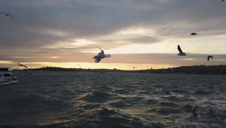 beautiful sunset on the bosphorus strait in istanbul from a ferry