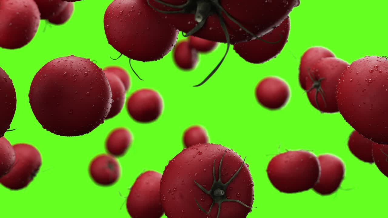 Falling tomatoes with water drops on a green background