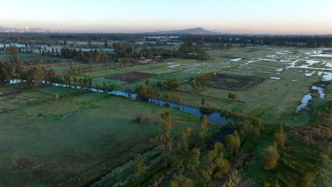 Vista-Aérea-Acercándose-A-Los-Kayakistas-En-Los-Canales-Del-Lago-Xochimilco,-México