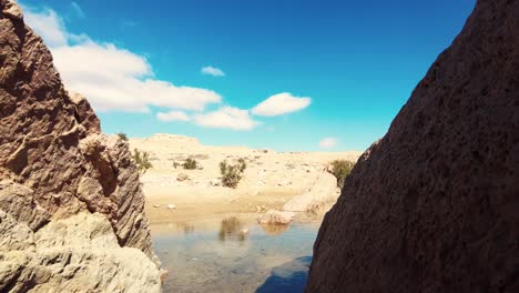 a-canyon-with-a-river-between-mountains-and-palm-trees