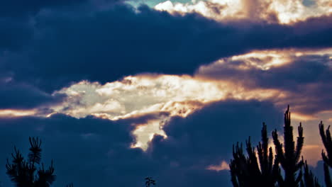 timelapse de nubes de lluvia con tormenta de silueta de cactus antes de la lluvia