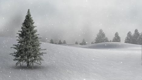 snow falling and fir trees