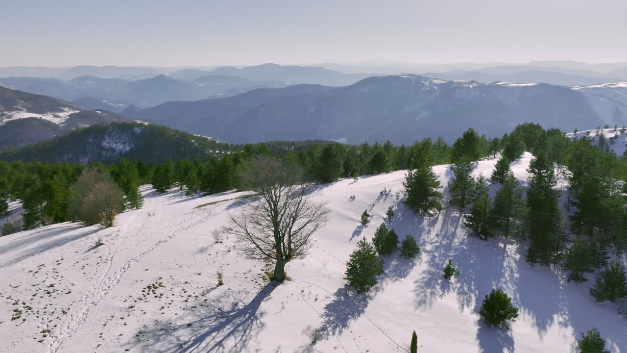 Paesaggio montuoso innevato con pini e impronte