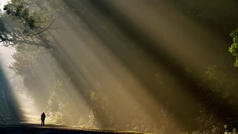 Sun-rays-shine-down-beautifully-onto-a-highway-or-road-3