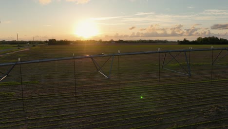 Puesta-De-Sol-Sobre-Tierras-De-Cultivo-En-Alabama