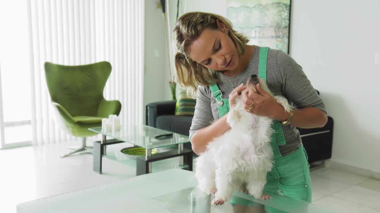 dueño del perro inspeccionando la higiene dental bucal de los dientes de las mascotas