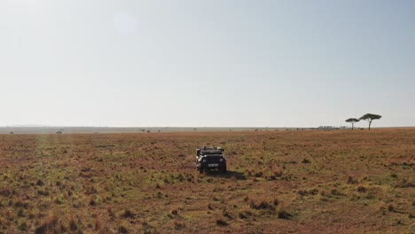 fotografía aérea de un fotógrafo de vida silvestre conduciendo un vehículo de safari en la reserva nacional de sabana de maasai mara, kenia, áfrica con hermosos paisajes, la conservación del norte de masai mara