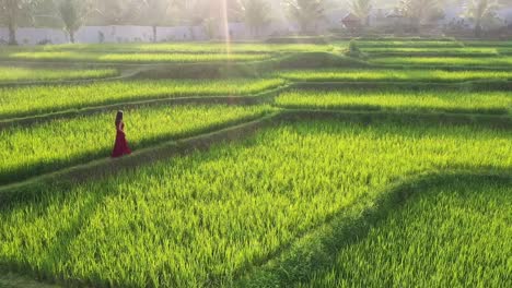 Una-Mujer-En-Campos-De-Arroz-Con-Vestido-Rojo-Caminando-En-Una-Terraza-De-Arroz-Explorando-El-Paisaje-Cultural-En-Vacaciones-Exóticas-A-Través-De-Bali-Indonesia