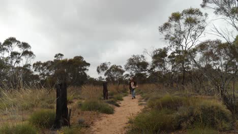 a historical looking bushman walks past an old farming fence line in the australian outback