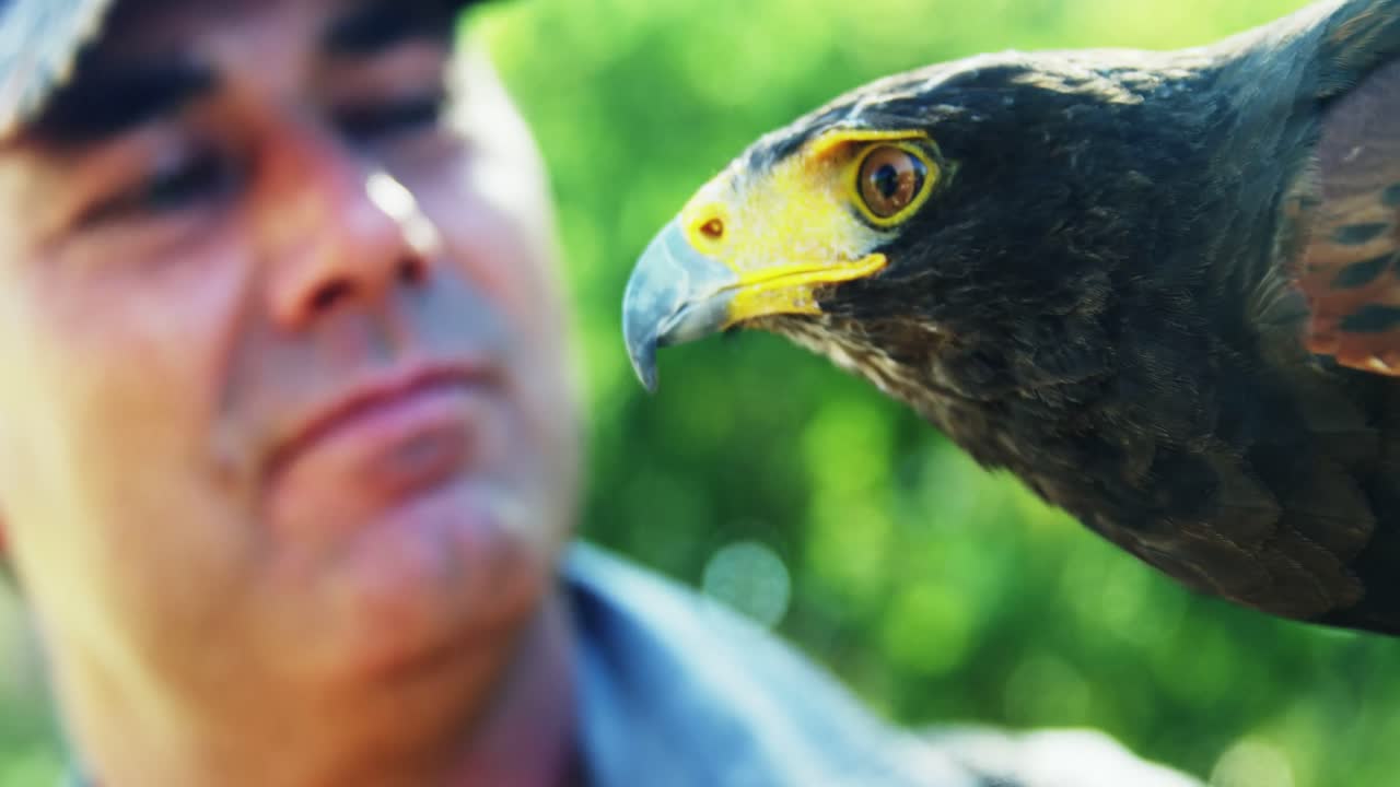 hombre con águila halcón en un día soleado