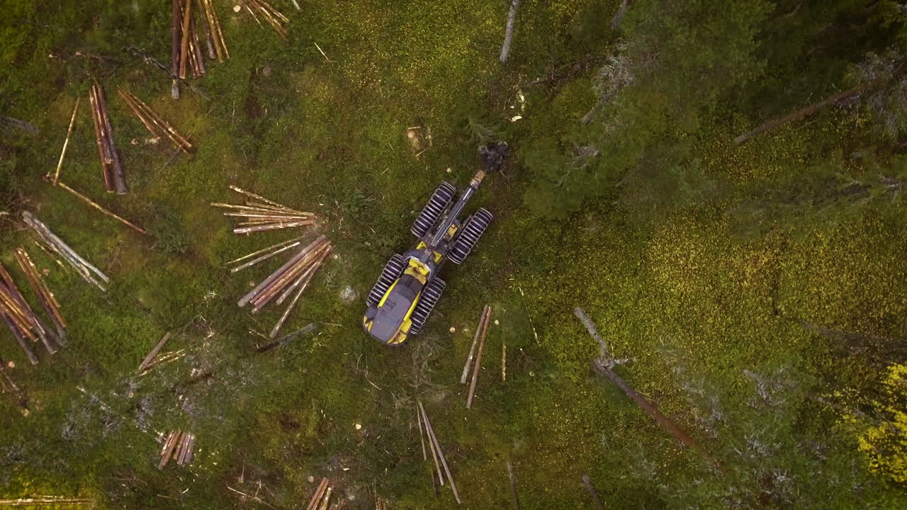 escorpión haciendo trabajo forestal