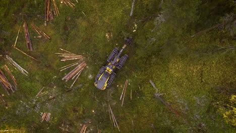 scorpion doing forest work
