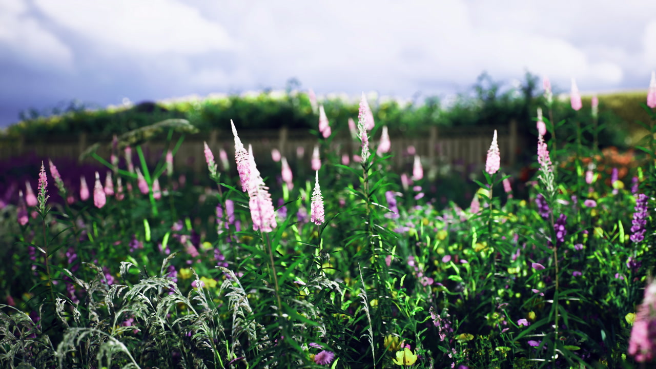 Farverige vilde blomster blomstrer i en livlig have under en skyet himmel