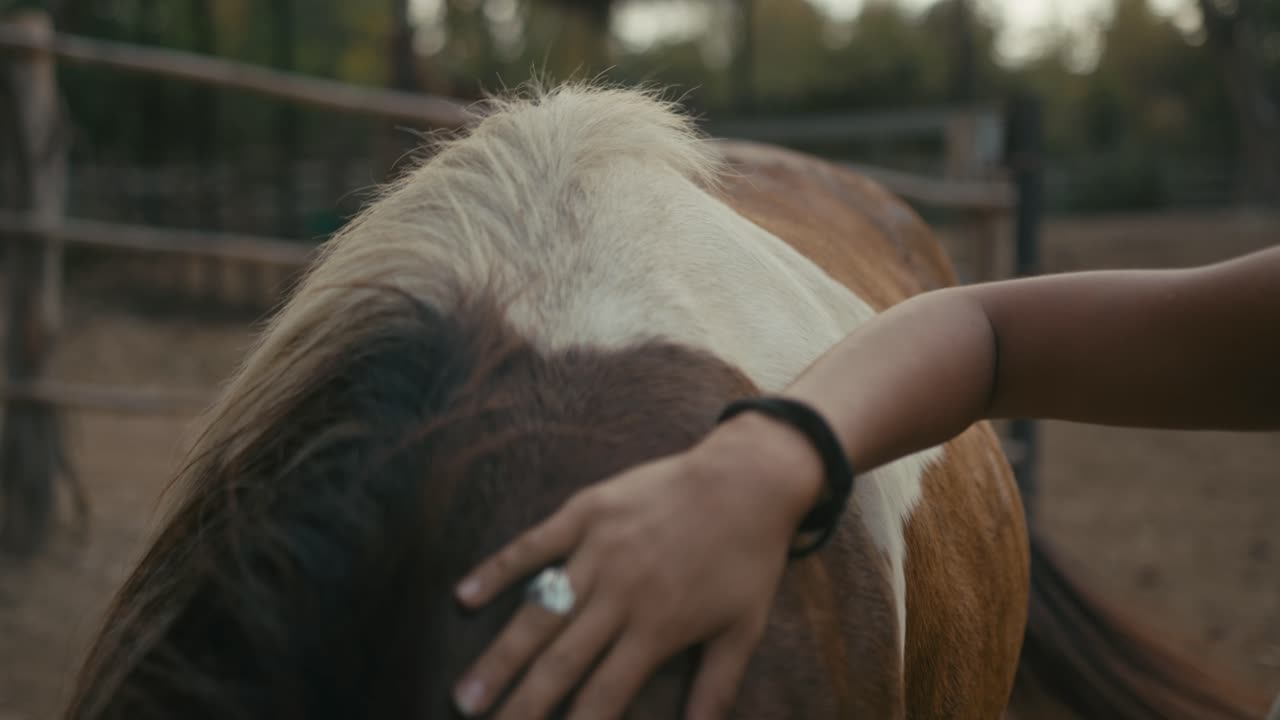 A woman gently pets a horse