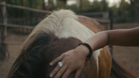 a woman gently pets a horse