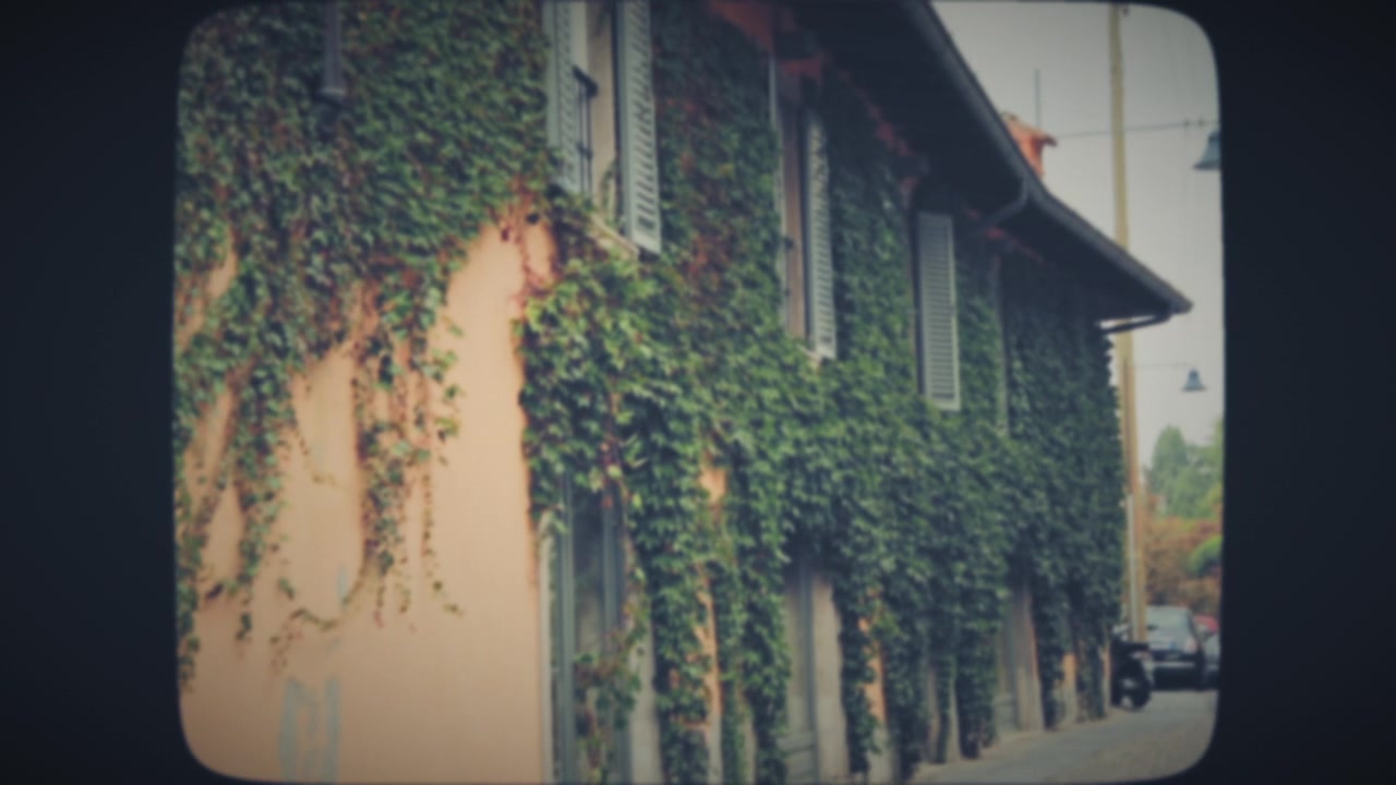 Vecchia casa coperta di edera