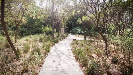 caminando por los famosos jardines lodhi en nueva delhi, india